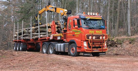 BOIS VOGEL Commande groupée